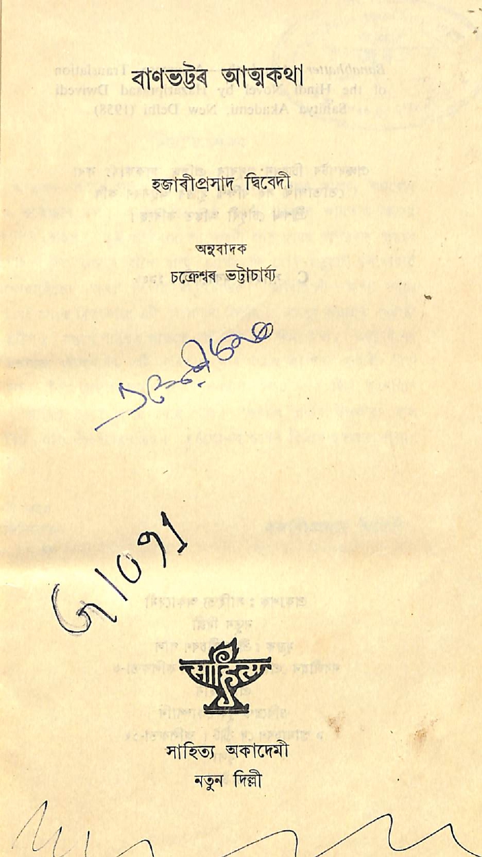 collection logo