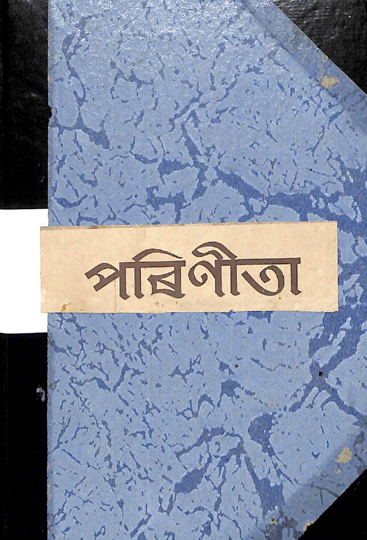 collection logo